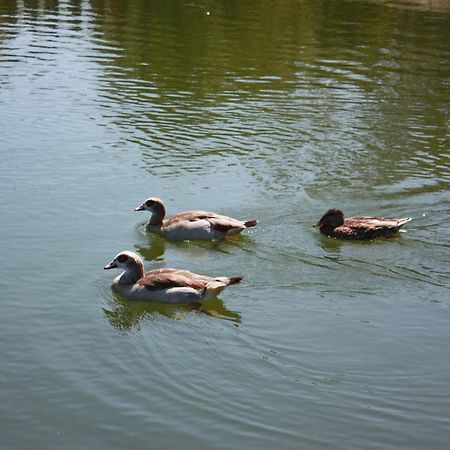 Quinta De Santo Estevao Hotel Rural อากิอาร์ ดาเบย์รา ภายนอก รูปภาพ
